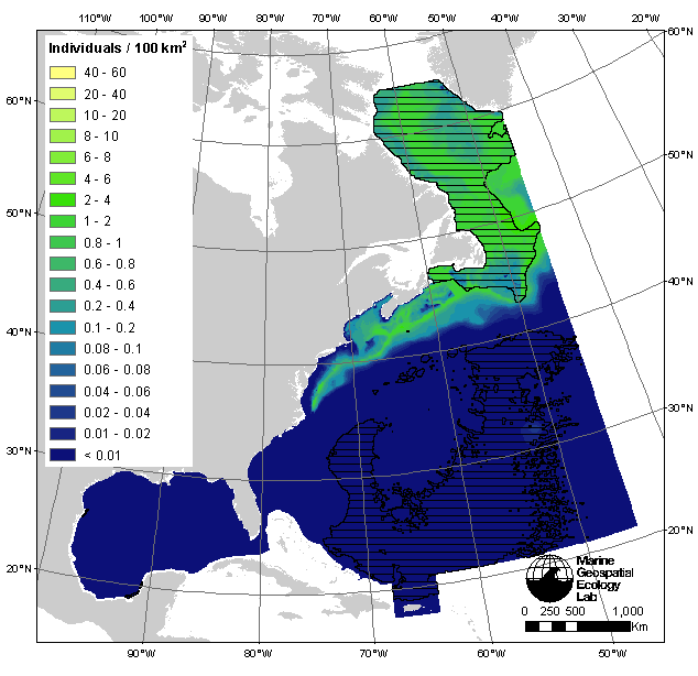 Habitat-based cetacean density models for the U.S. Navy Atlantic